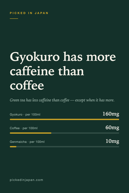 How Much Caffeine Is in Japanese Green Tea? (And Which Ones to Drink at Night)