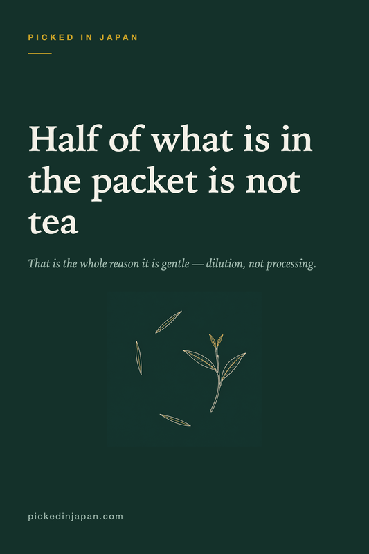 Genmaicha: Why Japan Puts Rice in Its Tea