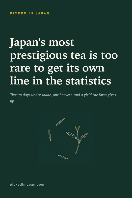 Gyokuro: Why It Costs What It Costs