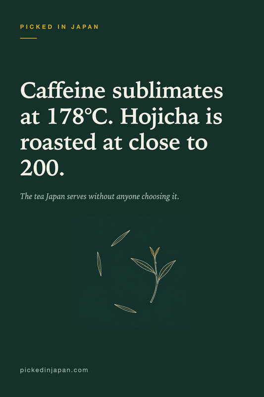Hojicha: The Tea Japan Drinks Without Thinking About It