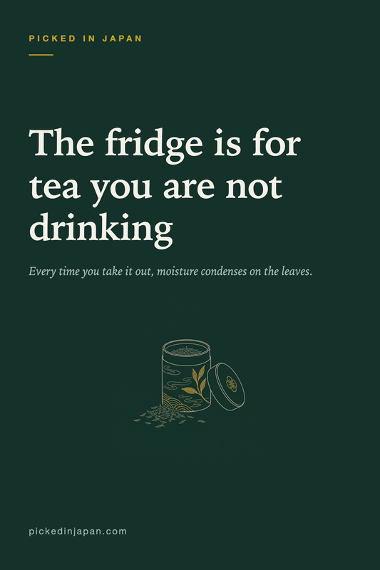 How to Store Japanese Green Tea (And Why the Fridge Is Not the Answer)