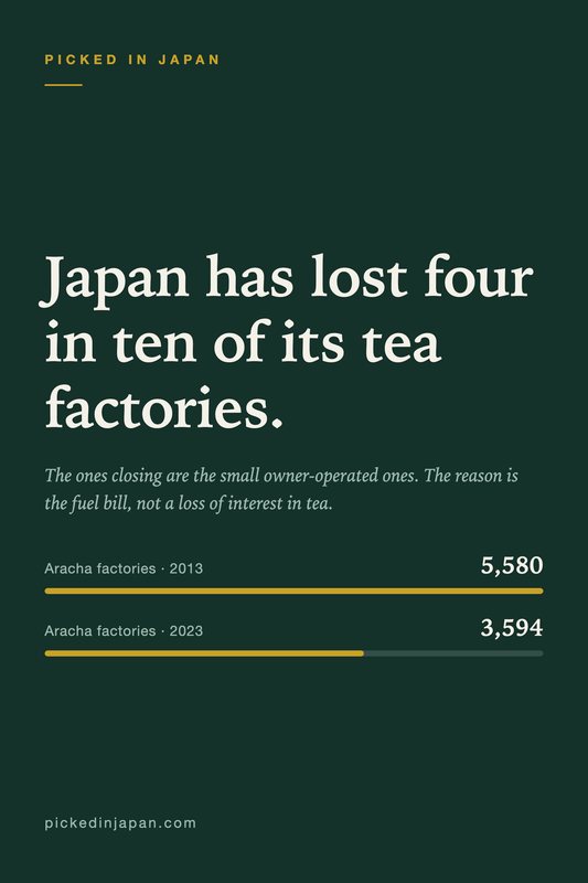 Japan Has Lost Four in Ten of Its Tea Factories