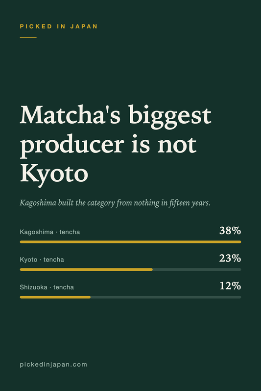 Where Japanese Tea Actually Comes From (It Is Not Where You Think)