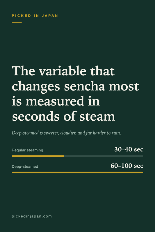 Sencha Explained: The Tea Behind Most of What Japan Drinks
