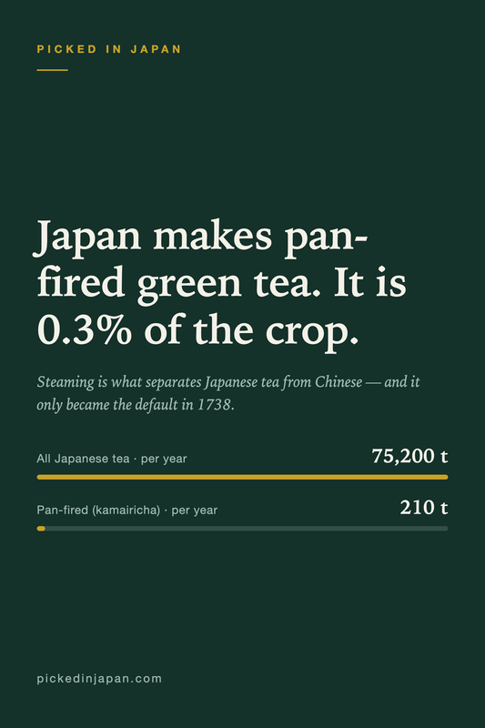 Steamed, Not Pan-Fired: Why Japanese Green Tea Tastes Unlike Chinese